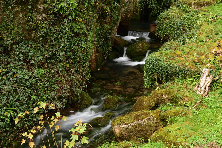 Media Image